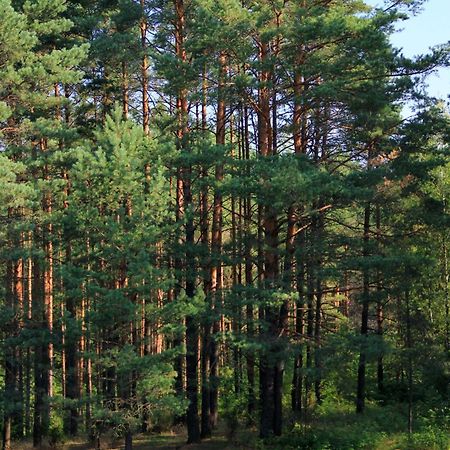 Apartamentai Laima Друскининкай Экстерьер фото